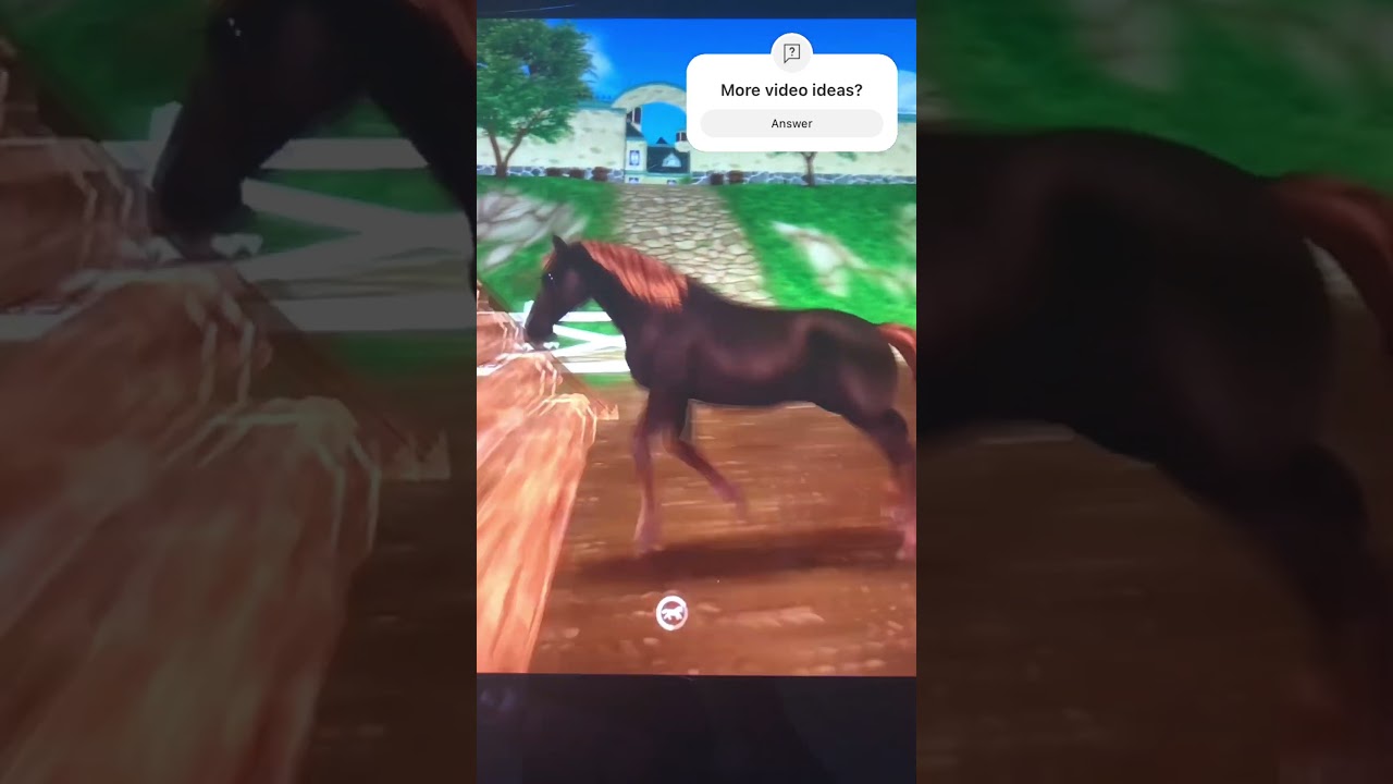 This is… Indigo my new horse