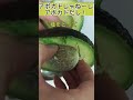 意外と簡単だった アボカドの食べ方 #shorts #アボカド#アボガドじゃね～し #自炊 #円安 #物価上昇