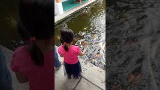 Raesha Kasih Makan Ikan