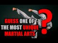 Can you guess what this unique martial art is?!!! - One of my all time favorite systems