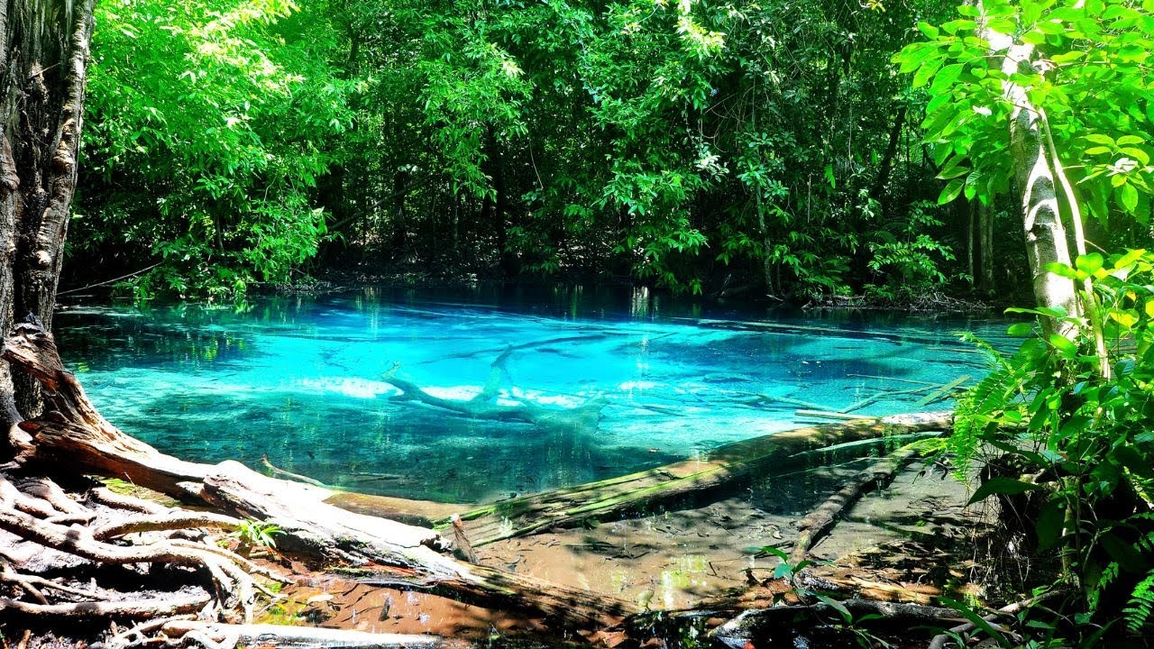 Native American Flute Music and Nature Sounds Connect With The Ancient