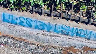 “LITTLE EAST SIDE 13” GANG IN BOYLE HEIGHTS/ELA (Visiting LA’s Most Dangerous & Active Hoods)