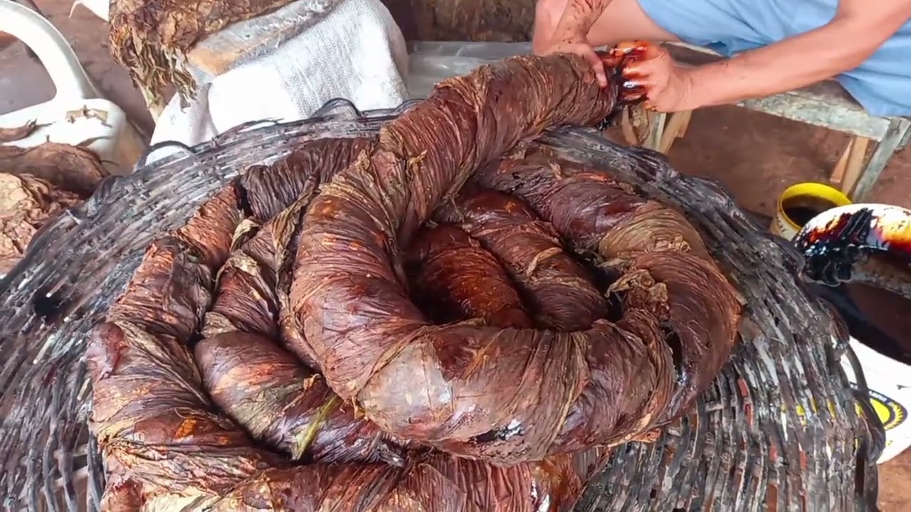 Como é feito a bola de Fumo (Tabaco),fumo de rolo Arapiraca 2025 