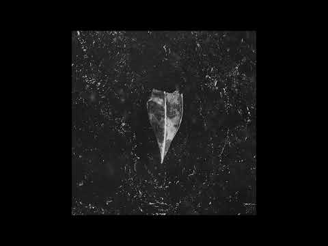 BEES MADE HONEY IN THE VEIN TREE - Aion [FULL ALBUM] 2023  **including lyrics**