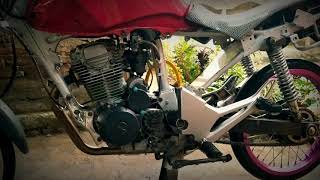 Story WA tiger herex!!!