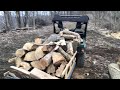 #11 Firewood action with the yamaha rhino!! And bonus trail camera footage!