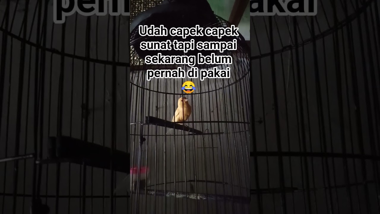 Последствия обрезания 