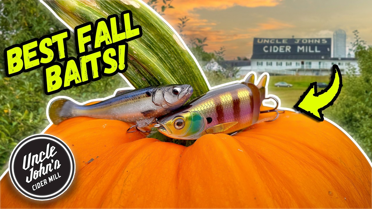 The Best Fall Bass Fishing Lures You Need To Throw RIGHT NOW!