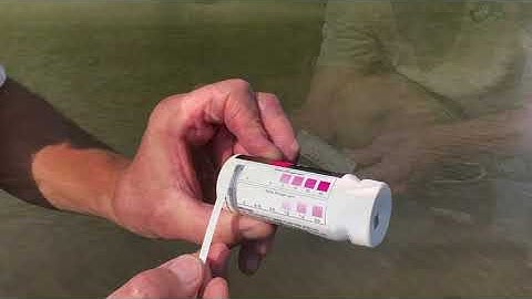 Nitrate/Nitrite Test