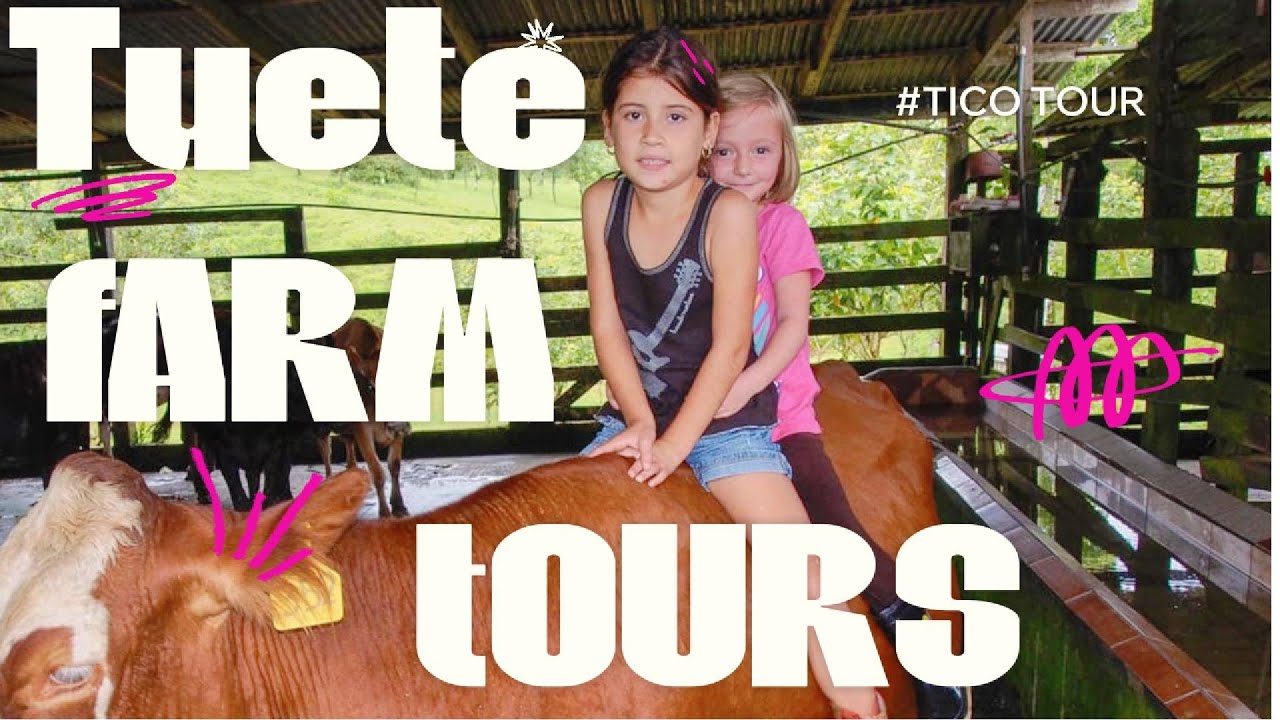 A Day at a Costa Rican Farm: The Tuete Farm Experience
