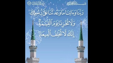 سورة آل عمران الآية ( 194 )