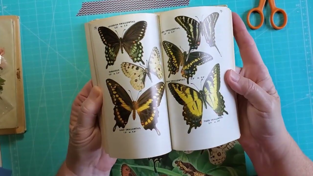 53 Thrift Store and Estate Sale Haul for Junk Journal Supplies YouTube