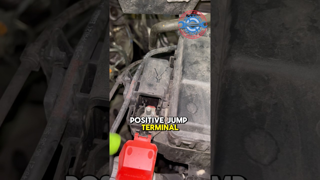 Пункты запуска двигателя Ford Transit ⚡🔋 | Где безопасно подключить + и − 