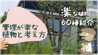 【保存版】管理が楽な植物と考え方中木低木下草60品種紹介