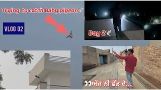 Trying to catch baby pigeon 🕊️|| ਸ਼ੌਂਕੀ ਜੱਟ ਨਵੇਂ ਬੱਚੇ ਨੂੰ ਫੜਦਾ ਹੋਇਆ😅 ॥ਦੇਖੋ ਸਾਰੀ video, ਕੀ ਬਣਿਆ……