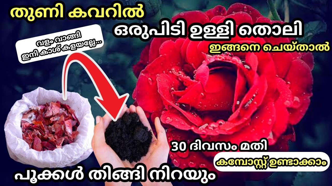 ഉള്ളിതൊലി കൊണ്ട് എളുപ്പത്തിൽ കമ്പോസ്റ്റ് വീട്ടിൽ ഉണ്ടാക്കാം / Onion Peel Compost #malayalam #plants