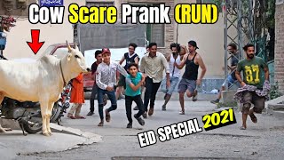 Funny Cow S-C-A-R-E Run | LahoriFied