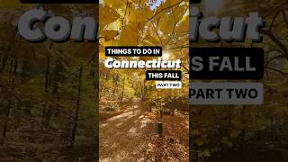 Things to do in Connecticut this fall. #connecticut #shorts #ct