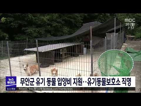 <strong>무안군</strong> 유기 동물 입양비 <strong>지원</strong>.. 유기동물보호소 직영[목포MBC 뉴스투데이]