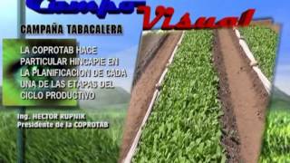 CAMPO VISUAL 20-06--2013