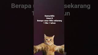 #cat #kucing #ef #efek
