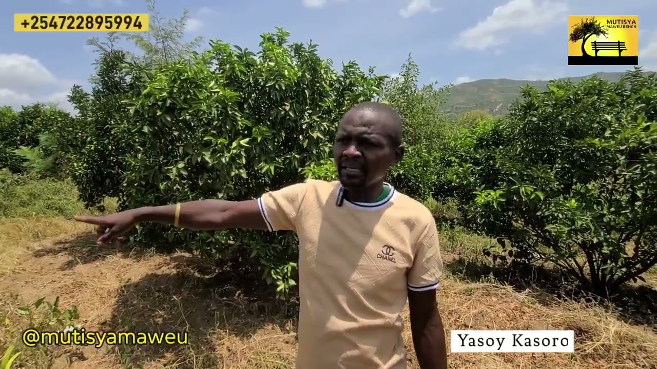 Why Kasoro Yasoy left music to venture in pixie and orange farming