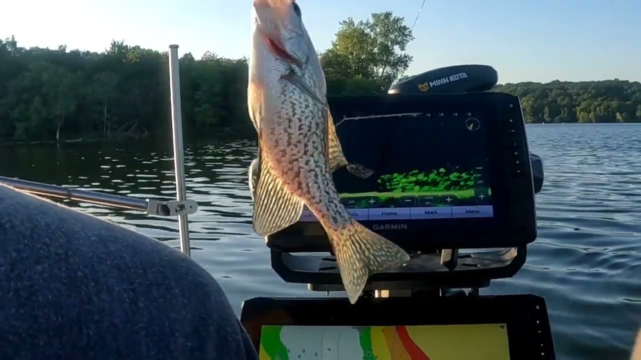 More Livescope crappie on Percy Priest YouTube