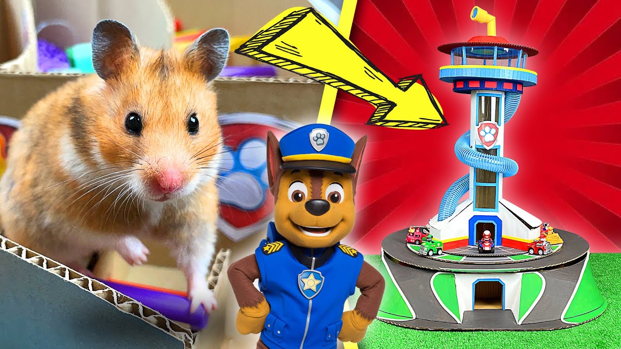 PAW Patrol 2021 🐹 Hamster Maze