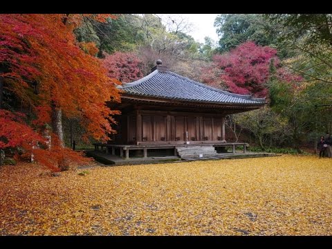 富貴寺紅葉 The Autumn Leaves Of Fuki Ji Temple Youtube