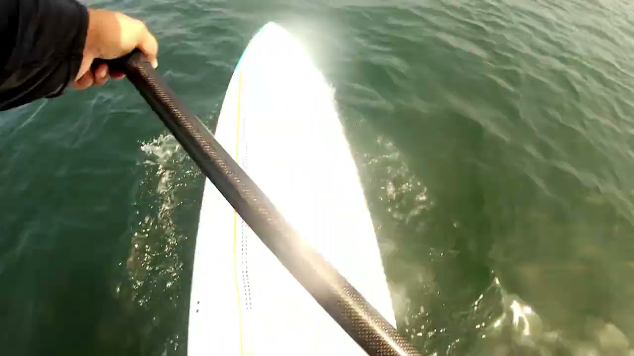 Naish Javelin 14x23 Probado la tabla Race en condiciones optimas