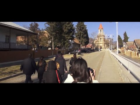 ლექცია \"საქართველოში მცხოვრები გერმანელები\"