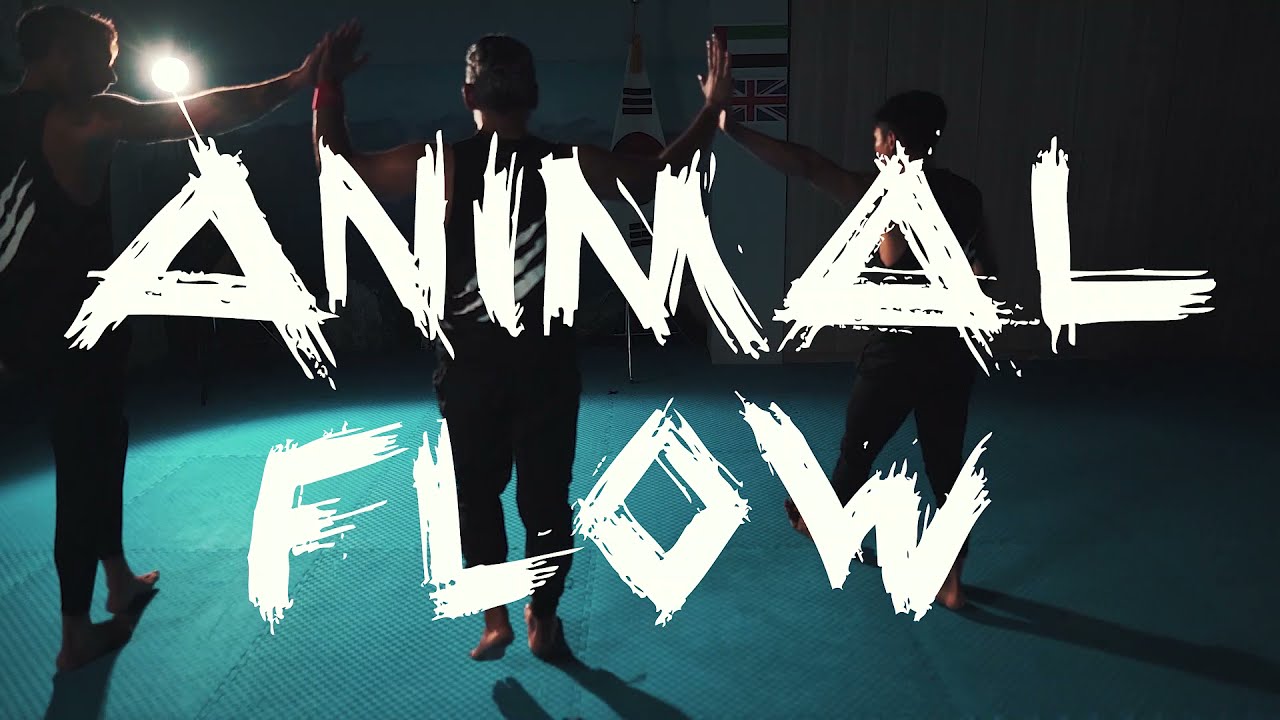 WTTU Moo Duk Taekwondo - Animal flow teaser