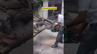 🌧️ Bengaluru Rains Caused Chaos… But Action Started Immediately. 🚨