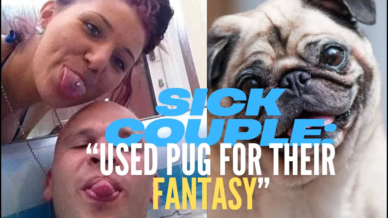 "SICK and DISGUSTING Couple Did This To Their Dog!"| 