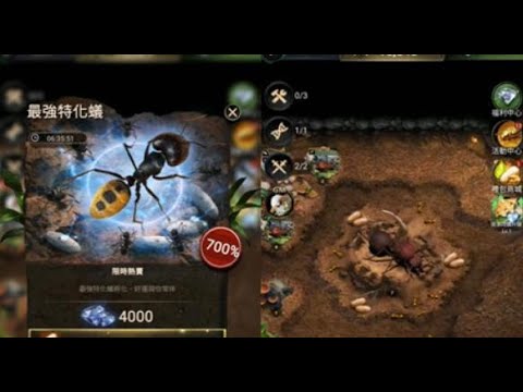小小蟻國 最強特化蟻 Youtube 小小蟻國 最強特化蟻 Youtube