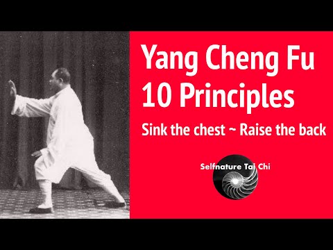 Yang Cheng Fu 10 Tai Chi Principles - Sink the Chest, Raise the back