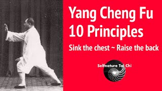 Yang Cheng Fu 10 Tai Chi Principles - Sink The Chest, Raise The Back