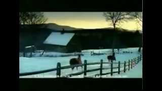 Budweiser 911 tribute commercial