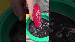 Clean Your Saw Blades in Minutes ⚡🪚 | BladeClean System @Microjig