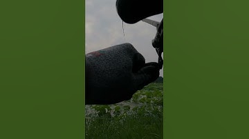 가물치낚시 ( Câu Lóc Korea )