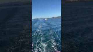 Viaje en barco por Galicia