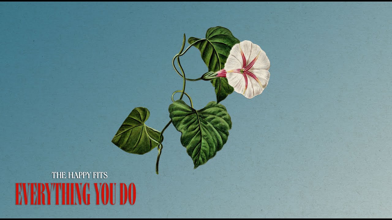 The Happy Fits - Everything You Do (Official Audio)