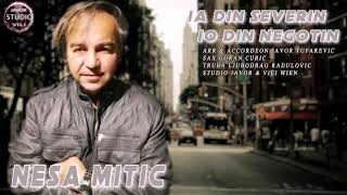 Nesa Mitic // IA DIN SEVERIN IO DIN NEGOTIN
