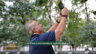 Ask A Dallas Fort Worth Arborist | What Is a Tree Inventory Benefits for Property Management