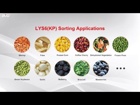 AMD LY Fresh Frozen Food Sorting Seafood Frozen Fruits and Vegetables