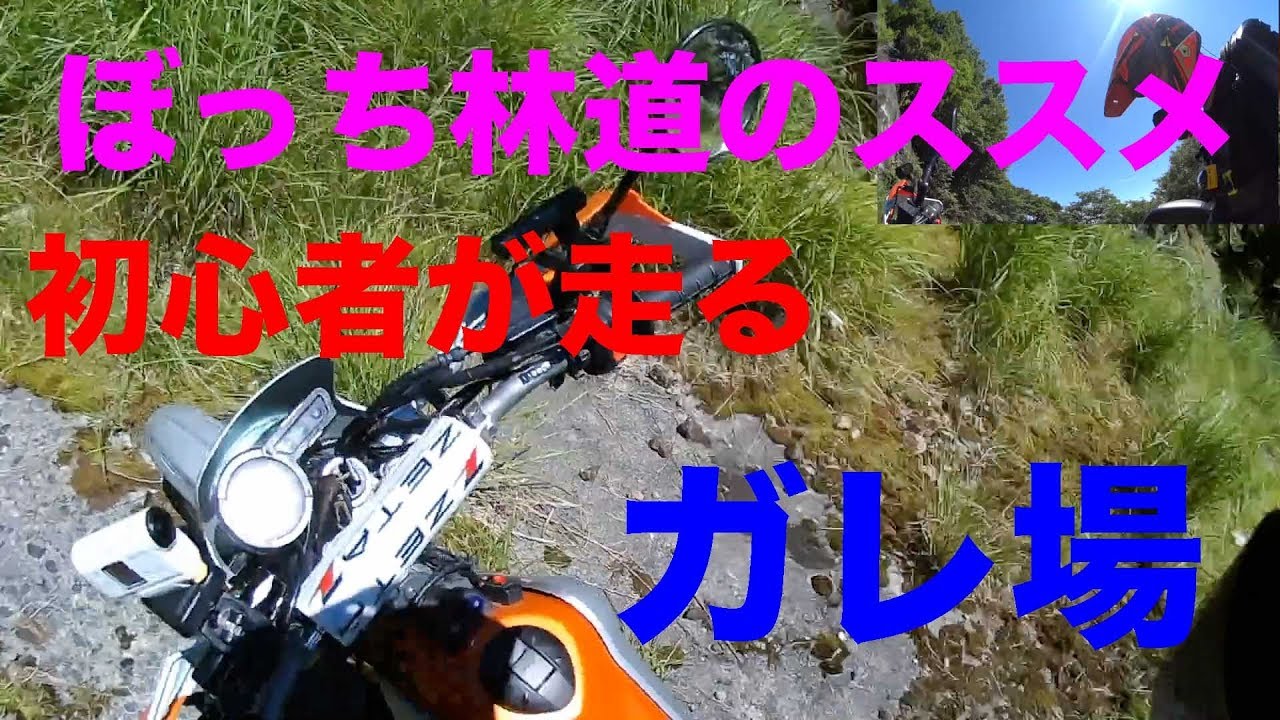 Recommendation for a lonely forest road (slightly rough for