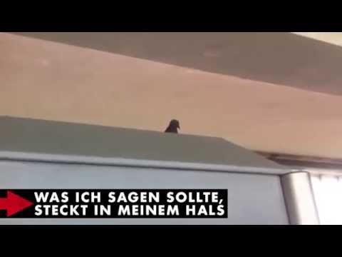 DONOTS - Karacho Snippet - 04/14 - Problem Kein Problem