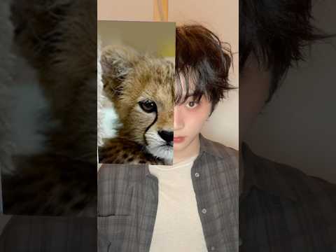 Wild vs Mild #BOYNEXTDOOR #보이넥스트도어 #BND #HOME_DELUXE #ANIMAL
