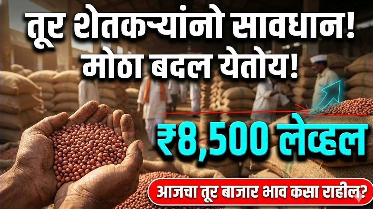 तूर बाजारात मोठा बदल? फेब्रुवारी तूर बाजाराचा मोठा अंदाज | Tur bajar Bhav Today Live Update