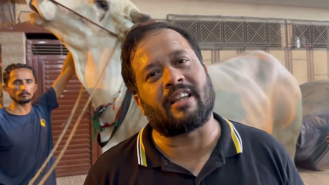 Мясники взимают чрезвычайно высокие цены за убой животных